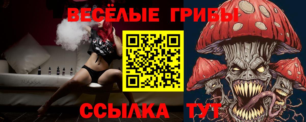 Жигулёвск  Псилоцибиновые грибы MAGIC MUSHROOMS  закладки  Вход с VPN 