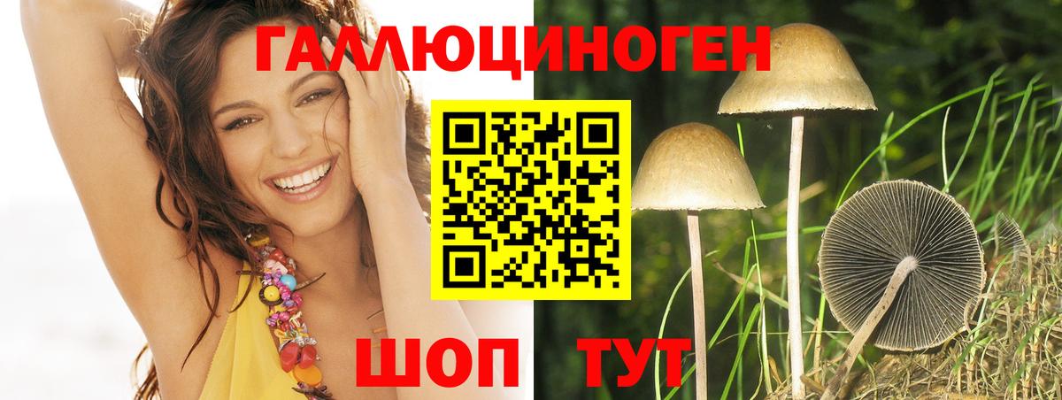 Галлюциногенные грибы ЛСД Жигулёвск
